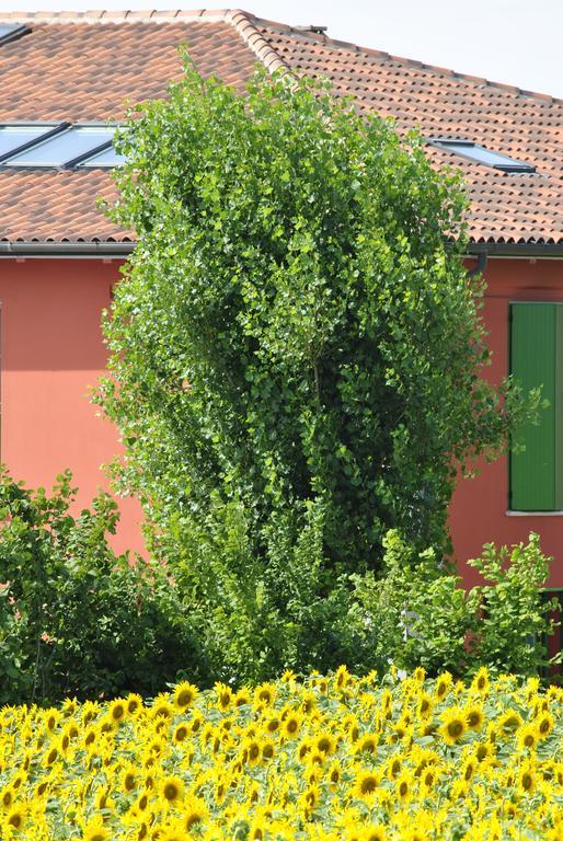 La Cascina B&B Calderara di Reno Exterior foto