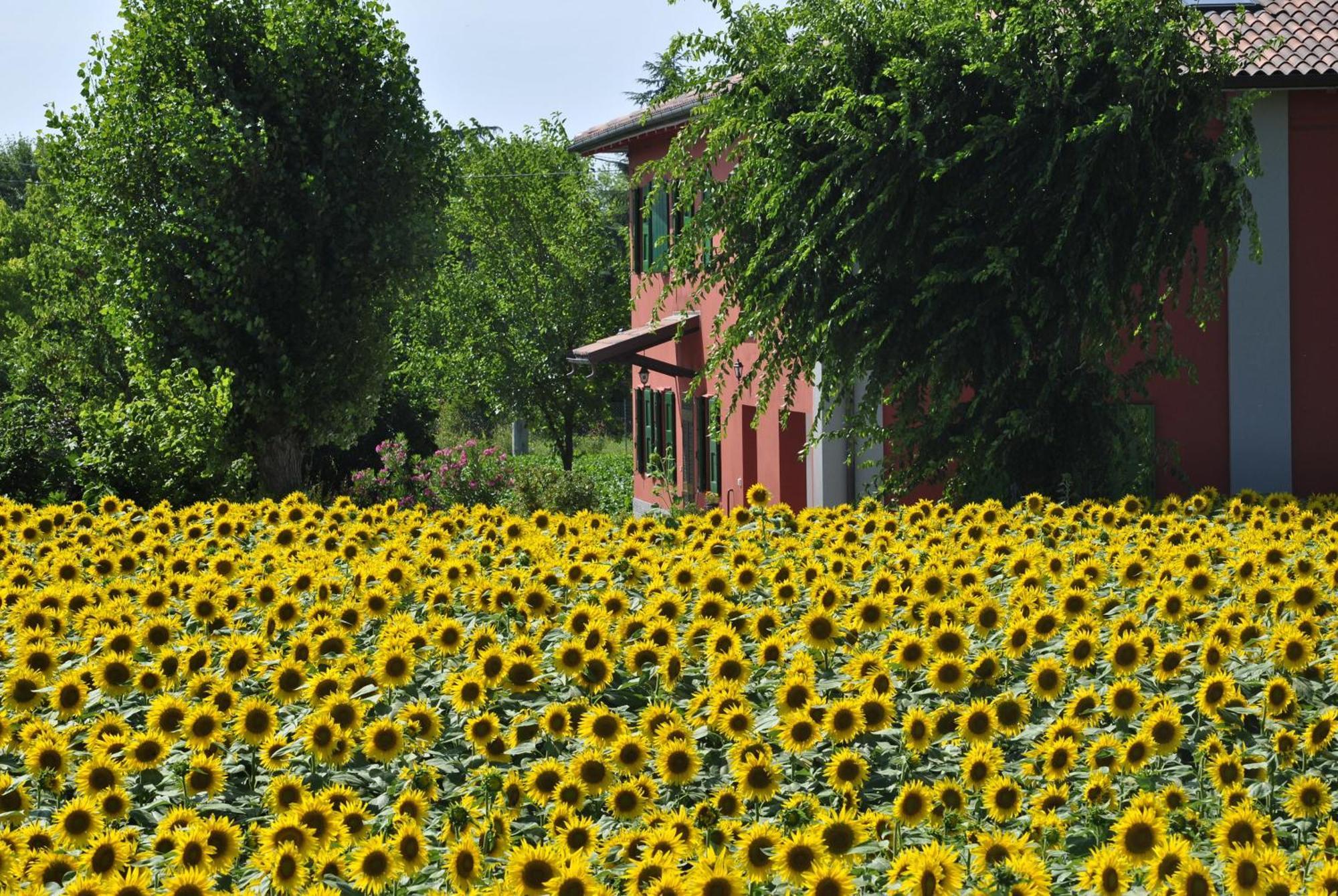 La Cascina B&B Calderara di Reno Exterior foto